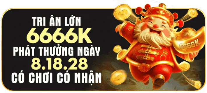 Chương Trình Hoàn Trả VSWIN