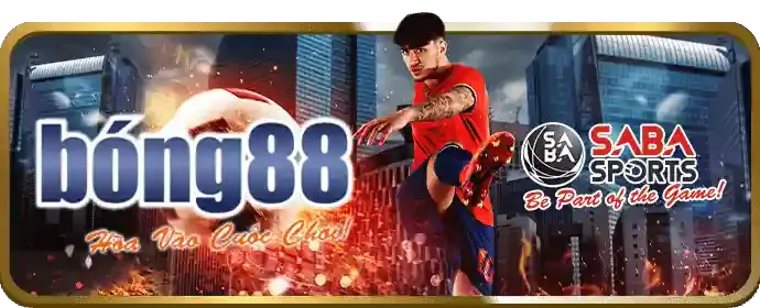 Chương trình VIP vswin casino